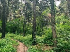 -沈阳辉山风景区