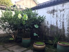 -院子餐厅·大锅菜·老杭帮(桥西直街店)