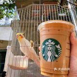 星巴克我是为了电脑包需要冲一下…[礼花][礼花][礼花]