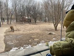 -北京野生动物园