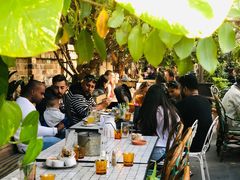 -The Grounds of Alexandria