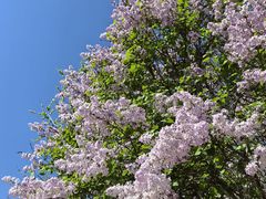 -青州市云门山风景区