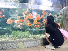 -福州罗源湾海洋世界旅游区