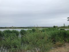-绿堤公园