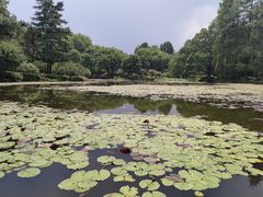 -杭州植物园