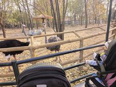 -大连森林动物园