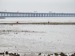 -宝安西湾红树林湿地公园