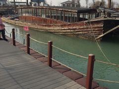 -泗洪洪泽湖湿地景区