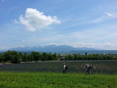 -富田农场
