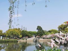 -无锡蠡湖国家湿地公园-蠡园