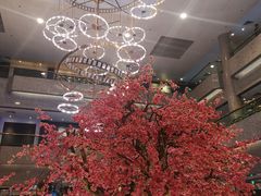 -上海银星皇冠假日酒店