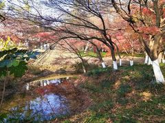 -九曜山