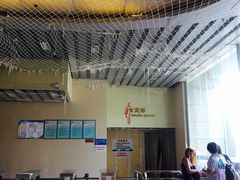 -重庆市奥林匹克体育中心-游泳跳水馆