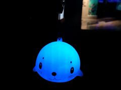 -成都浩海立方海洋公园