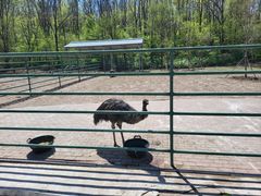 -哈尔滨北方森林动物园