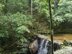 -燕子河大峡谷天坑仙境