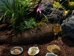 -曲廊院(东四十一条店)