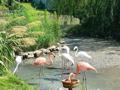 -宁波野生动物园
