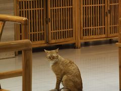 -豫满楼(正光路店)