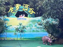 -广州长隆飞鸟乐园