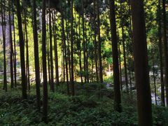-雁荡山风景名胜区