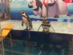 -周鱼小馆石锅酸菜鱼(活力汇店)