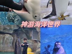 -威海华夏城景区