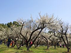-白马涧龙池景区
