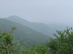 -吴门人家·苏宴宫廷菜(拙政园店)