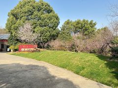 -桃花岛景观公园