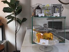 -常识咖啡common sense(春熙路店)