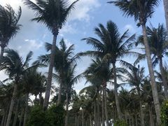 -白沙湾海滩