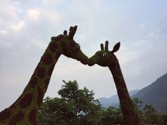 -西安秦岭野生动物园