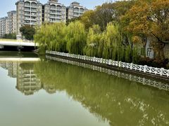 -上海中医药大学附属曙光医院(东部)