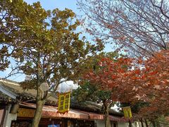 -姑苏秦隆昌(木渎古镇店)