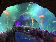 -沈阳海洋探索中心