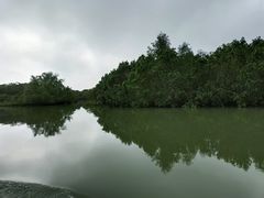 -东寨港红树林旅游区