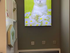 -关爱宠物医院·猫科中心·消化科(滨湖万达分院)