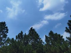 -绍兴鉴湖君澜大酒店