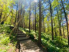 -白草畔自然风景区