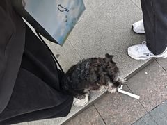 -唐沫茶兮(仓山万达金街店)