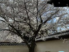 -醍醐寺