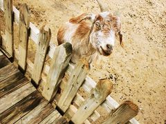 -鄂尔多斯野生动物园