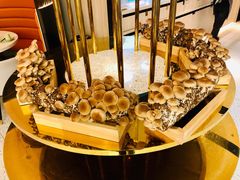 -椰子营·椰子鸡火锅(万象里店)