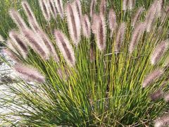 -济南国际园博园