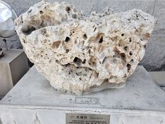 -中国地质博物馆