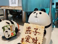 -竹子咖啡bamboo coffee