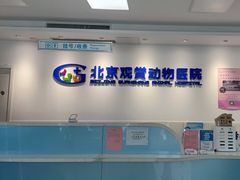 -北京观赏动物医院·24小时大型综合·猫专科·异宠专科