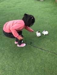 -萌宠亲子动物乐园(槐房万达店)