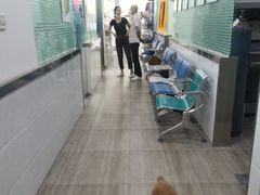 -暖阳宠物医院·犬猫康复中心·骨科